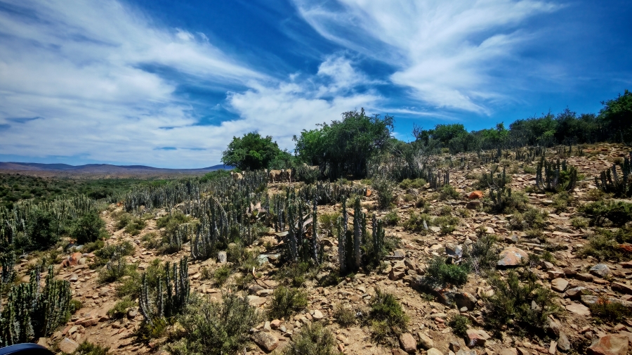 6 Bedroom Property for Sale in Pearston Eastern Cape